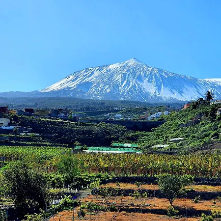 Giovanni & Rosa B Icod De Vinos * Icod De Los Vinos