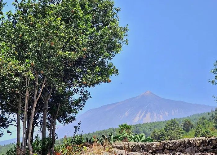 Giovanni & Rosa B Icod De Vinos Icod De Los Vinos