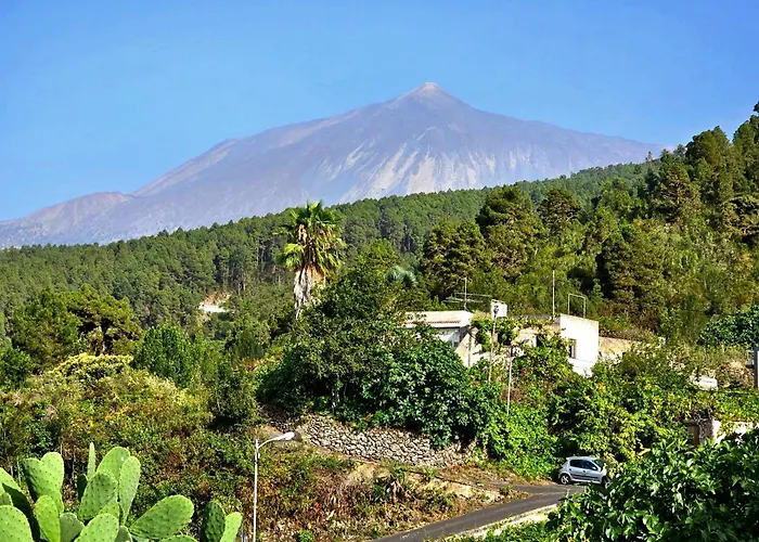 Giovanni & Rosa B Icod De Vinos *