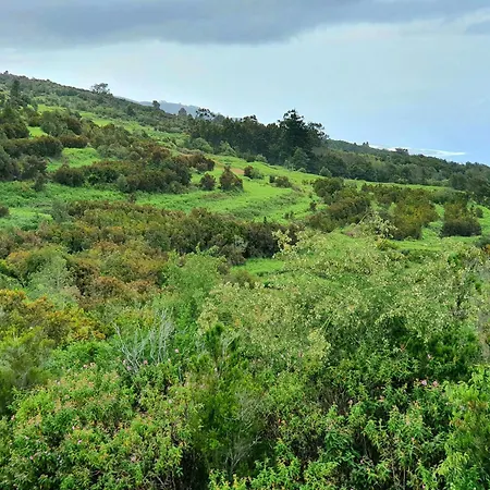 Giovanni&rosa B Icod De Vinos *