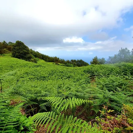 Giovanni&rosa B Icod De Vinos Icod De Los Vinos