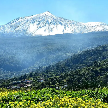 Giovanni & Rosa B Icod De Vinos By Hrtenerife Net Holiday home *