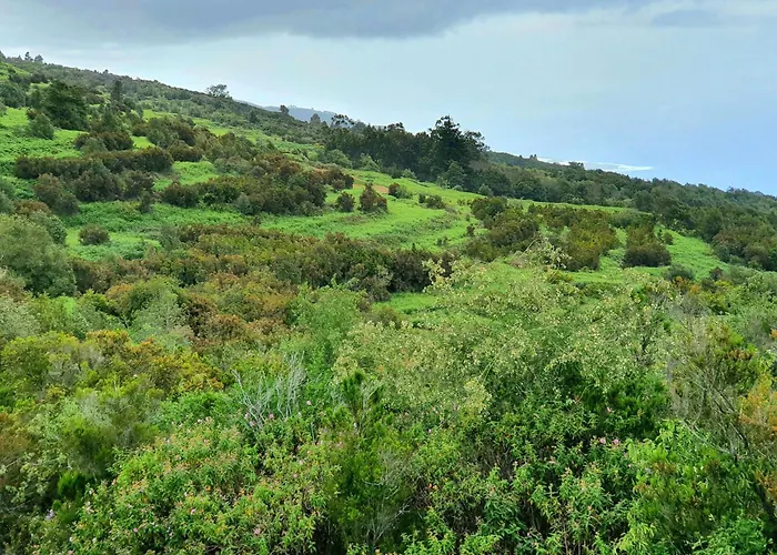 Giovanni&rosa B Icod De Vinos *