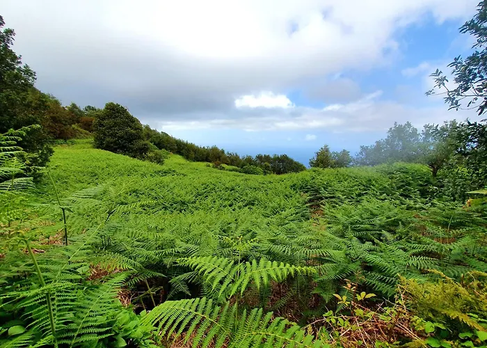 Giovanni&rosa B Icod De Vinos Icod De Los Vinos