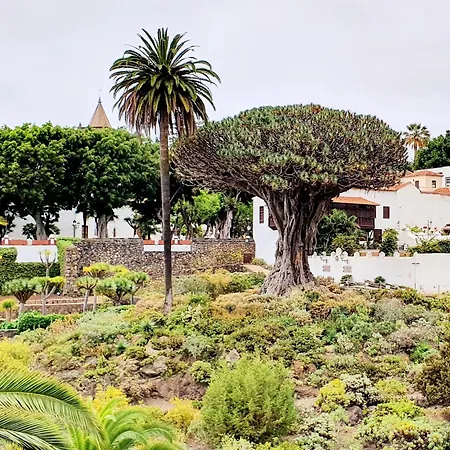 Giovanni & Rosa B Icod De Vinos